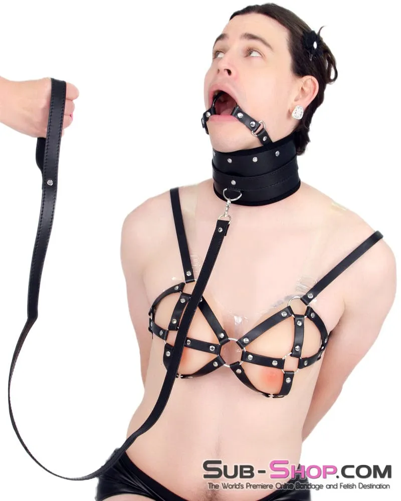 7060M-SIS      Heads Up Black Posture Female Top Collar with Ring Gag and Sissy Slave Bondage Lead Leash