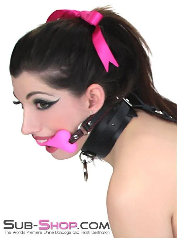 7166A      Anal Hook Trainer with Collar Set