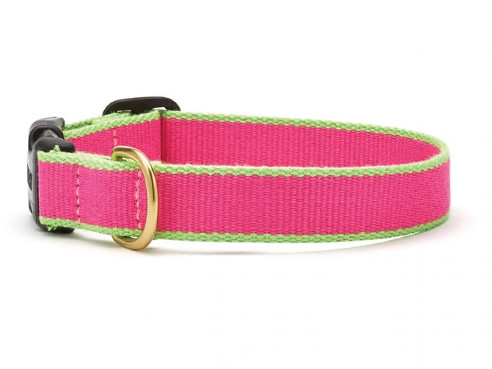 Dog Collar