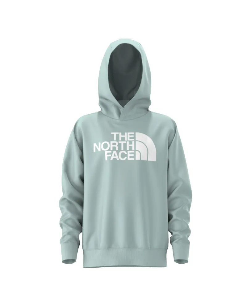 The North Face Kids' Half Dome Camp Pullover Hoodie Muted Pine 2025