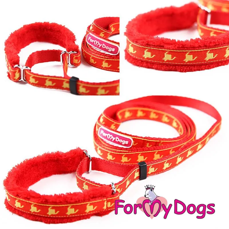 Versatile Collar and Lead Set In Orange Flashes